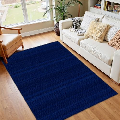 4x5 Boho Rug Rugs for Living Room Rugs for Entryway