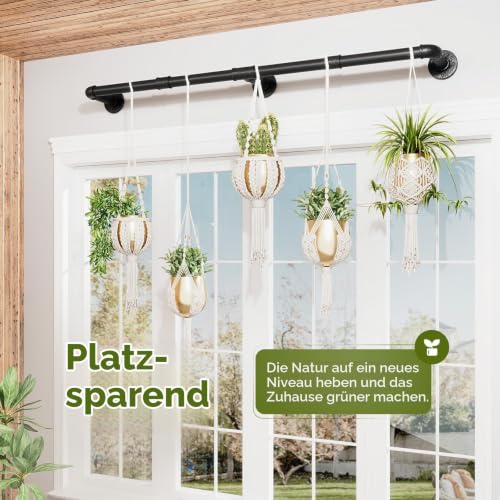 Bamworld Fenster-Pflanzenaufhänger für den Innenbereich, 160 cm, hängende Pflanzgefäße für Zimmerpflanzen, Hängestange, Fenster… – Ansicht 6