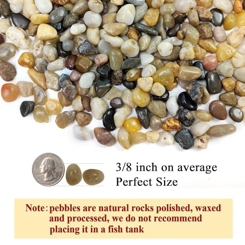 Image of FANTIAN Pea Gravel for Fish Tank,5 lbs Polished Pebble for Plants, 1 /4 Inch | Fish Tank Gravel,Decorative Stones River Rocks for Succulent Soil Cover, Cactus, Aquarium, Vase, Outdoor Garden Landscaping