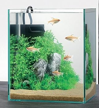 GEX AQUARIUM グラステリア 200キューブH LED限定セット！ Amazon | 【在庫限り/メーカー終売】ジェックス グラステリア