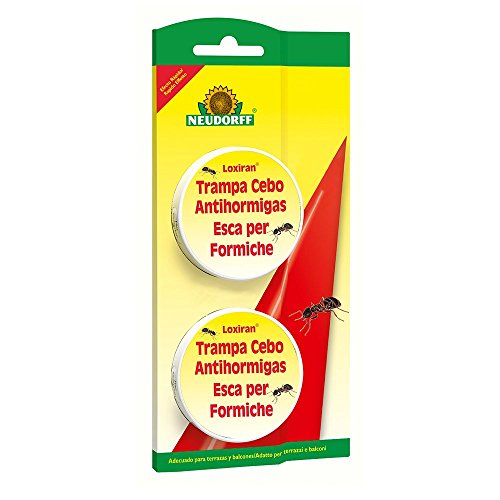 Neudorff 87501 Trampa Lista para Usar contra Hormigas, Amarillo