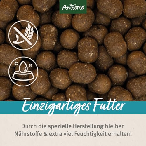 AniForte Lachs Trockenfutter für Hunde 7kg – Frischer Lachs mit Kartoffeln & Vitaminen, Halbfeuchtes Trockenfutter, Hundefutter trocken getreidefrei & glutenfrei für Allergiker