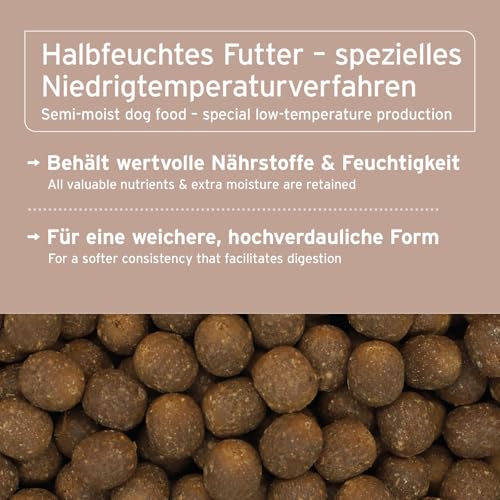 AniForte Lamm Trockenfutter für Hunde 12,5kg – Herzhaftes Lamm mit Süßkartoffeln & Vitaminen, Halbfeuchtes Trockenfutter, Hundefutter trocken getreidefrei & glutenfrei für Allergiker