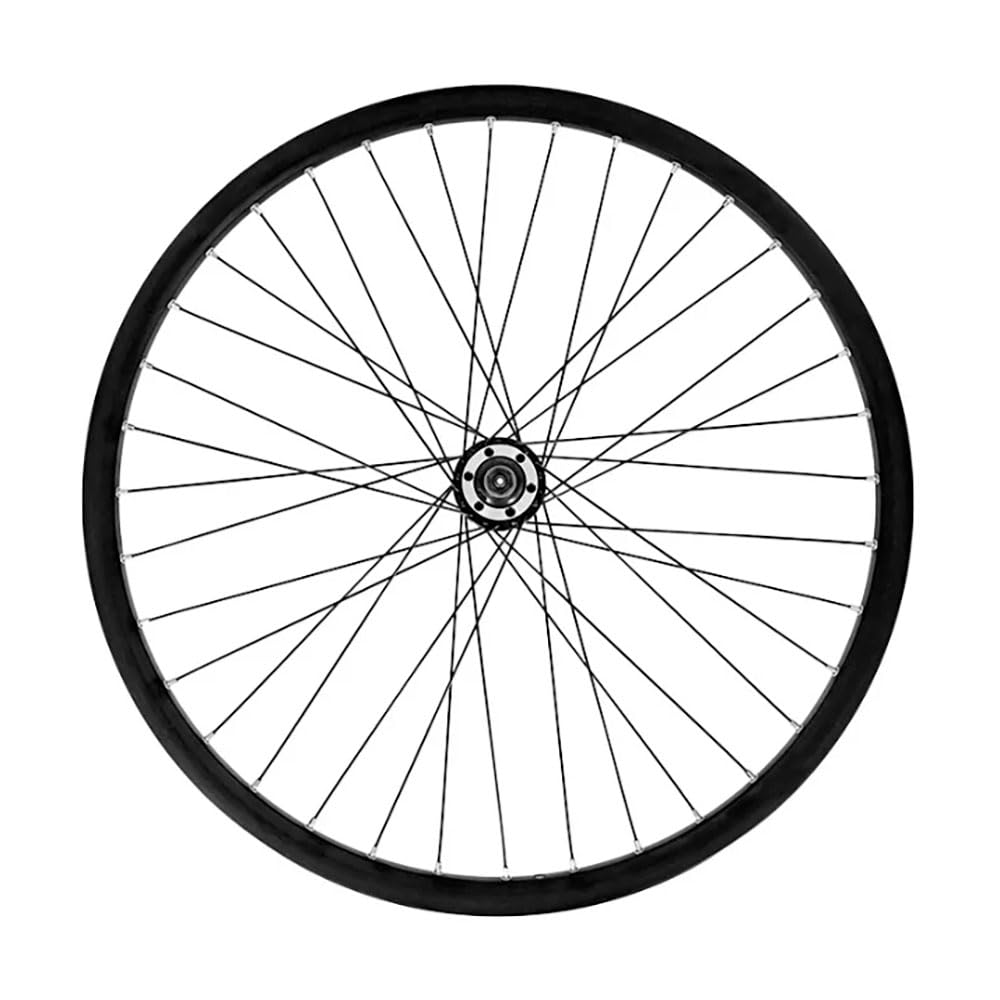 Ruota Anteriore 29" MTB Freni a Disco Mozzo su Cuscinetti