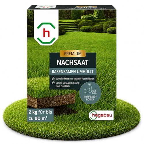 Rasensamen Nachsaat 2 kg – Rasensamen schnellkeimend für bis zu 80 m² – Grassamen schnellkeimend zur Reparatur kahler Stellen – dichter & strapazierfähiger Rasen – Premium Rasennachsaat