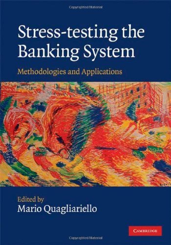 Stress-testing the Banking System: Methodologies and Applications (2009-10-30)