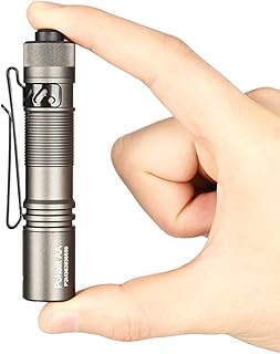 ACEBEAM Pokelit AA Rechargeable Mini Torch with Clip, 1000 High Lumens Pocket EDC Torch, Super Bright Small Torch, Led Torch for Camping,Hiking,Everyday Use, Cool White Light(Gray)