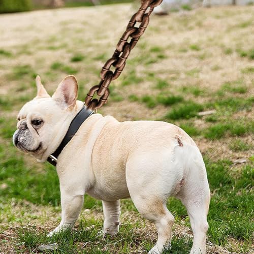 Laisse pour grands chiens élastique de 2 m avec corde imperméable