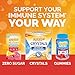 Emergen-C Citrus-Ginger Fizzy Drink Mix, Turmeric and Ginger, Immune Support, Natural Flavors with High Potency Vitamin C, 18 Count