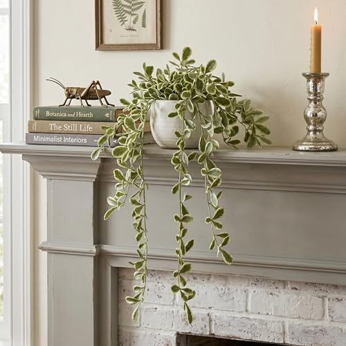 Image of Dekorly 2 Pack Artificial Plants Artificial Hanging Plants Faux Eucalyptus Leaf Greenery Fake Hanging Eucalyptus Plant (Green) (2, Cherry) (2, White and Green)