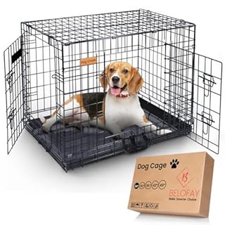 BELOFAY Dog Crate | Dog Cage 24-Inch Heavy Duty | Collapsible Metal Frame with Dual Access Doors, Chew-Resistant Removable Base Tray, Sliding Lock & Carry Handle – Ideal for Puppy Training & Travel