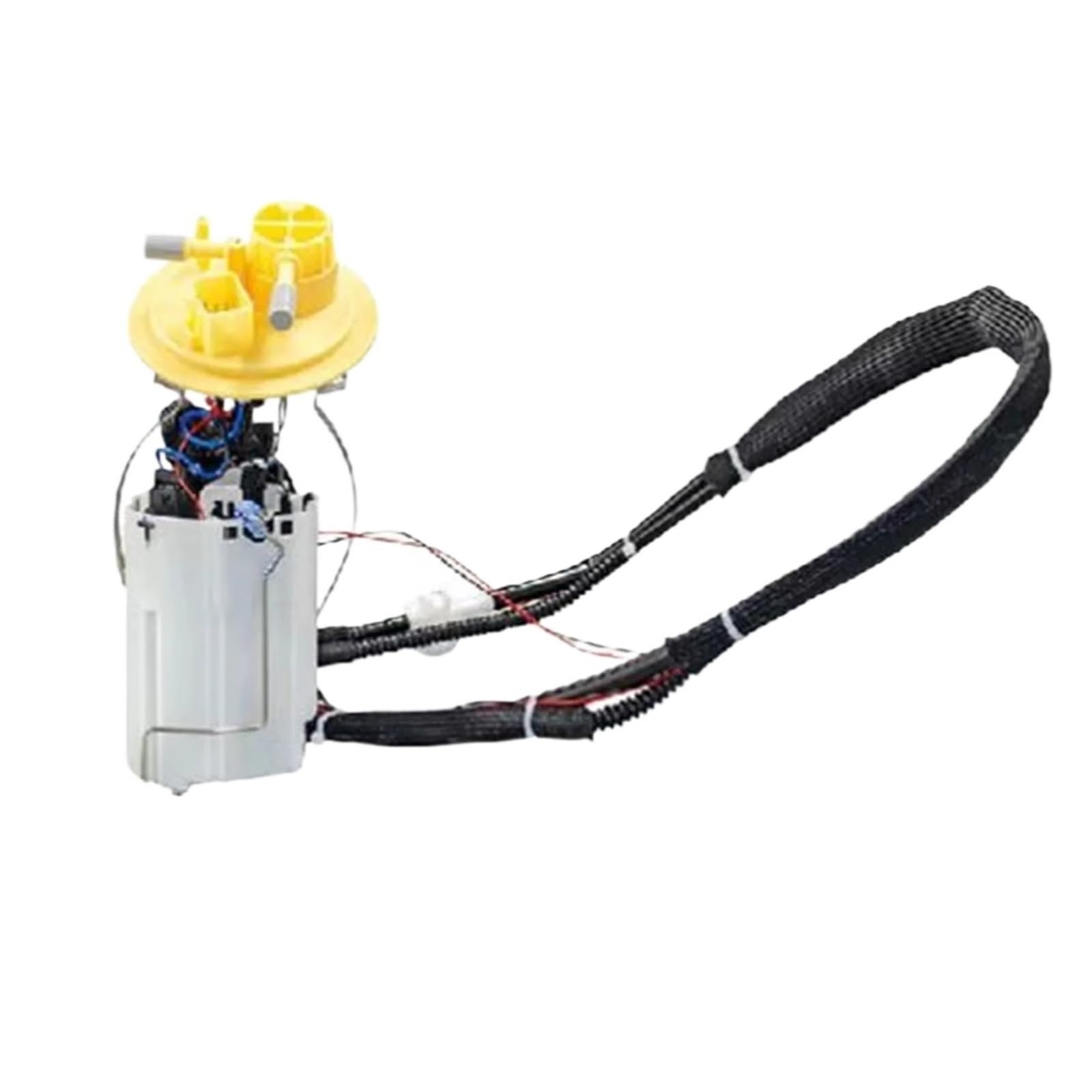 Amazon.com: The Electric Fuel Pump Module Is Fitted With A Fuel 