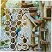 BESPORTBLE 2pcs Parrot Swing Toy Rope Climbing Net Ladder for Birds Activity Toy for Pets Random Colors Promotes and Stress