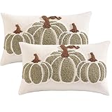 Tosleo Halloween Throw Pillow Covers 12x20 inch Set of 2 Halloween Green Pumpkin Embroidered Pillow Cases Thanksgiving Home Party Pumpkin Fall Decor Pillowcases Lumbar Cushion Covers