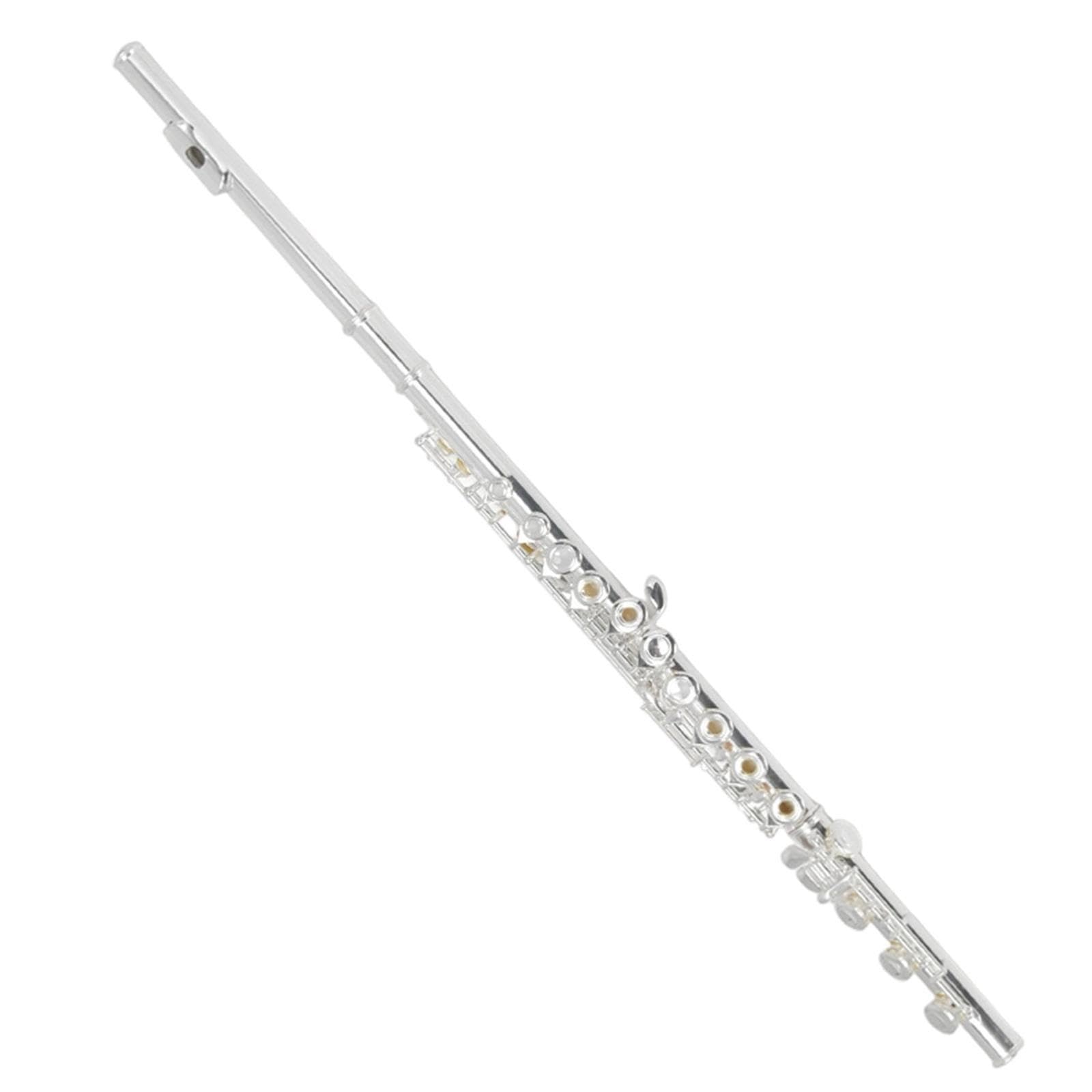 Flute Flauta C de 17 hoyos