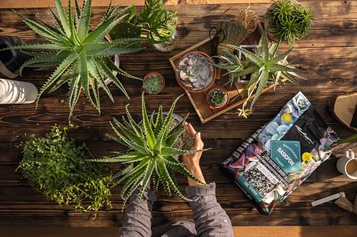 Lechuza 19554 Basic-PON Mineral Plant Substrate Potting Mix for Indoor Gardening, 20 Liter Bag, Grey