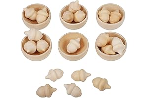 Vindar Wooden Acorns for DIY Craft Kit