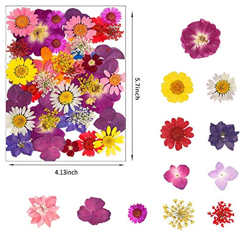 image for NLUS 120 PCS Dried Flowers for Resin with Tweezers Multiple Colorful R