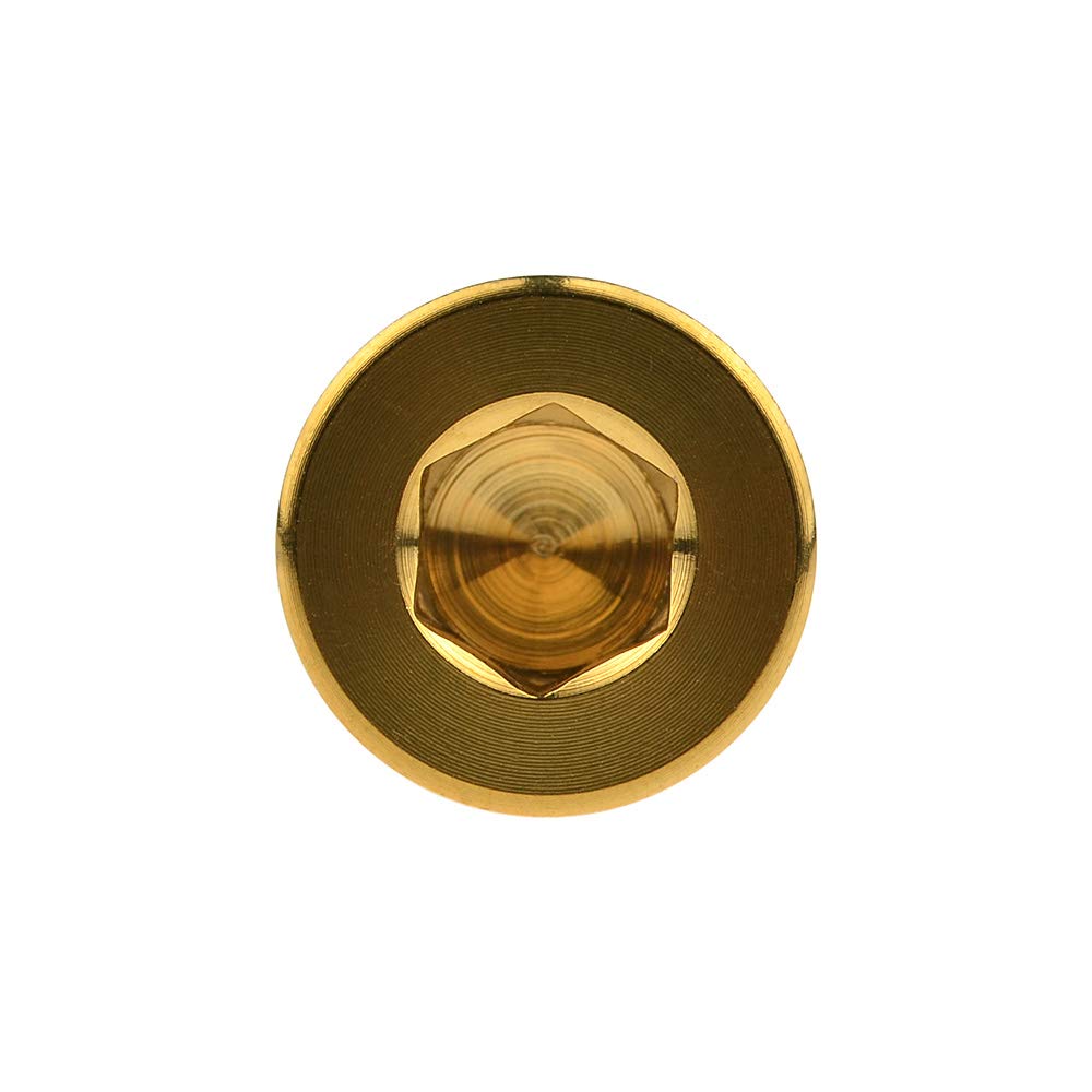 Titanium Bolt DIN912 M8x15 20 25 30 35 40 45 50 60 70mm Square Head Hex Socket Screws Pitch 1.25mm Pack of 5 (M8x50mm, Gold)