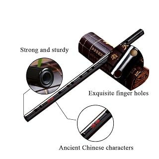 Harmonica Instrument traditionnel flûte bambou Junior C D E F flûte traversière à touches G - Les Beatles, Paul McCartney, John Lennon, RIngo Starr, George Harrison Harmonica Instrument traditionnel flûte bambou Junior C D E F flûte traversière à touches G – Image 3