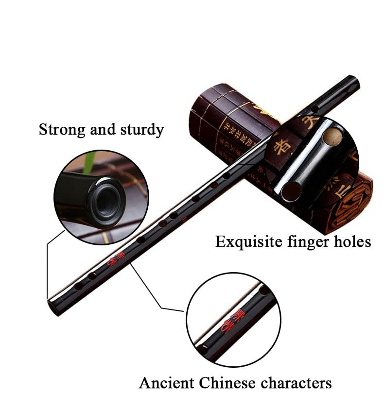 Harmonica Instrument traditionnel flûte bambou Junior C D E F flûte traversière à touches G - Les Beatles, Paul McCartney, John Lennon, RIngo Starr, George Harrison Harmonica Instrument traditionnel flûte bambou Junior C D E F flûte traversière à touches G – Image 4