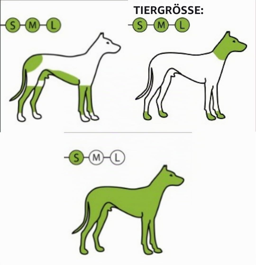 Rotschopf24 Arco Pro Akku Hunde Schermaschine XL Akku + 4 Aufsätze +Tasche