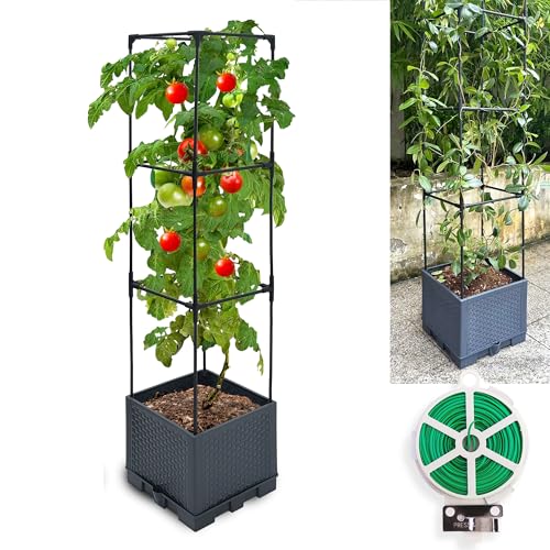 Sumloty Raised Garden Bed Planter Boxes, 1 Pack 44" Self-Watering Tomato Planter with Trellis for Climbing Vegetables Plants Grape Fruit Flowers,Use for Indoor Outdoor Garden Patio
