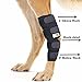 RockPet Gelenkbandage für das Hinterbein ihres Hundes (L)