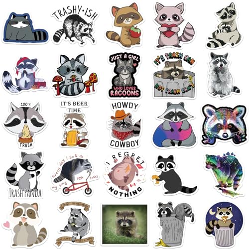 50Pcs Kawaii Stickers, Cartoon Raccoon Cute Stickers Pack Kids Waterproof Aesthetic Vinyl Stickers, Skateboard for Teens Girls Kids (Cartoon Raccoon004)