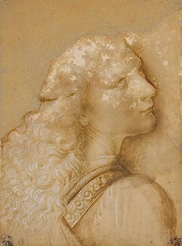 Toile Andrea Del Verrocchio 50x70 cm pour sublimer la décoration d'un salon chic