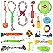 Amzeeniu Hundespielzeug,16 Pcs Seil Ball Hunde robuste Zähne Kauen langlebig Spielzeug Zahntraining Set Für Kleine mittelgroßen Hund Interaktives Spielset Unzerstoerbar BaumwollknotenTau Tier