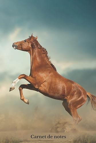 Carnet de notes: Cheval sauvage – Couverture rigide – Cahier de notes Ligné – 108 pages – 15,24x22,86 cm – 6x9 – Idée Cadeau pour amateur de chevaux – Belle photo