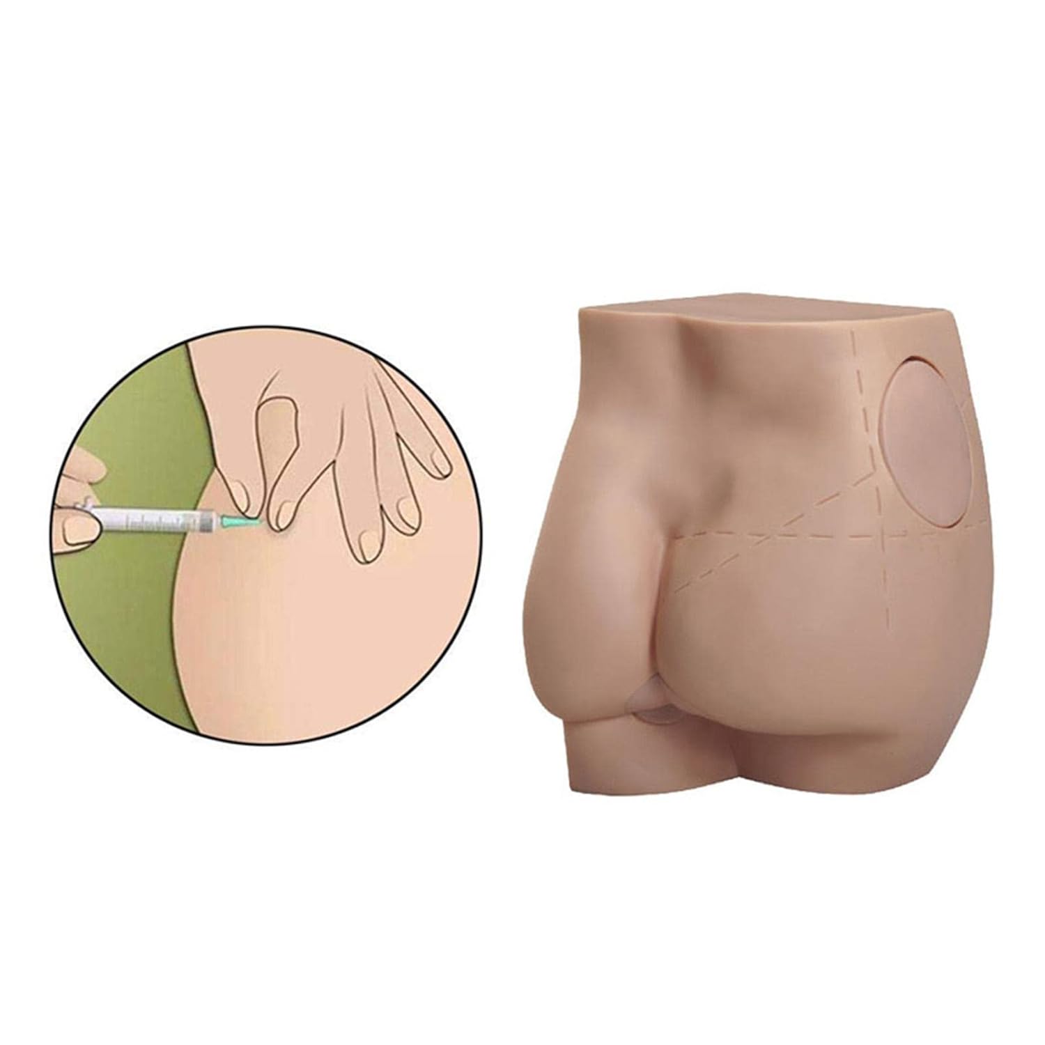 Calandis ™ human buttock injection practice model for class display equipment. Training and manikins | Emergency and EMT | Medical Specialty | Healthcare, Lab and Life Science Calandis ™ human buttock injection practice model for class display equipment. Training and manikins | Emergency and EMT | Medical Specialty | Healthcare, Lab and Life Science