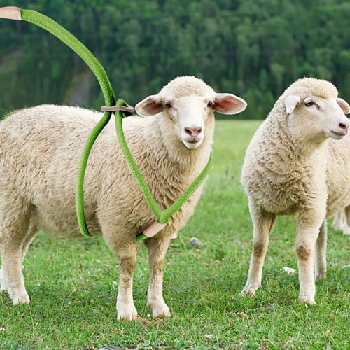 Image of Goat Harness for Walking, Goat Supplies Accessories Washable Leash, Livestock Supplies for Sheeps