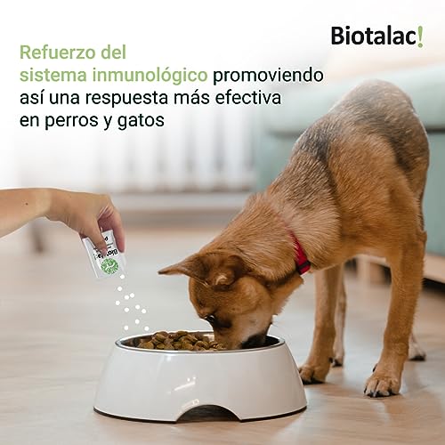 BIOTALAC ! Stabilisateur de la flore intestinale pour chiens et chats. Enterococcus faecium. 30 enveloppes en poudre. – Image 6