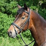  Kieffer Trensenzaum Ergonomic Line Größe: Vollblut Farbe: Schwarz/Schwarz