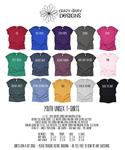 Big Sister in Training Shirt, Professional Big Sister, Gift for Big Sister to be, Pregnancy Announcement Shirts for Kids (3t)4