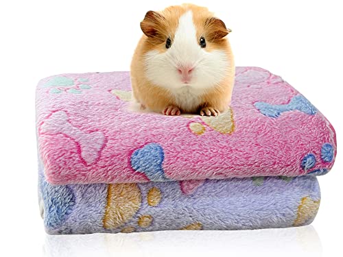 Dodheg 2 Pcs Pet Blanket,Small Animal Plush Bed, Pet Warm Sleep Mat, Suitable For Small And Large Pets, 23.6 X 15.7 Inches #TOP5