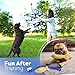 Dog Agility Course Backyard Set, Including Dog Tunnel Bags for Agility Dog Jumps and All Toys - Professional Dog Agility Equipment Range - Dog Training Course Equipment, Dog Obstacle Course Backyard