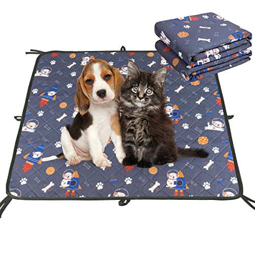 Top 10 Best Washable Dog Pee Pads Reviews & Buying Guide Katynel