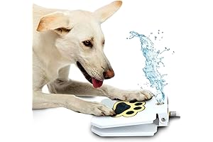 Pawsitively Refreshing: Trio Gato's Dog Activated Outdoor Fountain