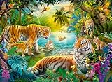 Ravensburger