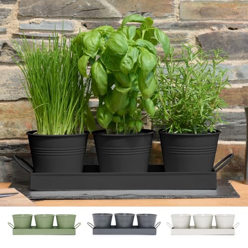 CKB LTD Set mit 3 Metall-Kräutertöpfen mit Abtropfschale,...