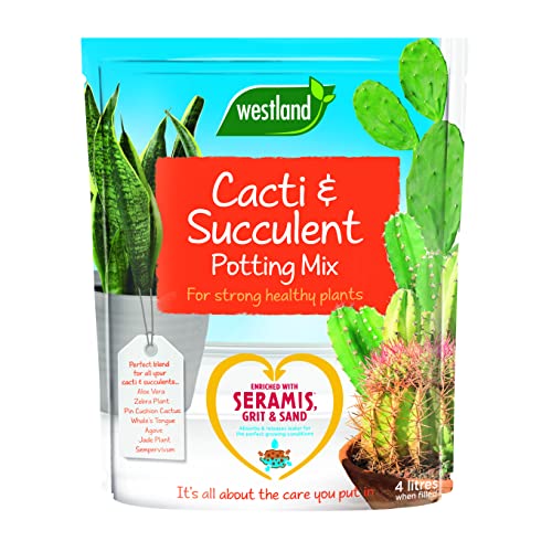 Westland Cacti/Succulent Potting Compost Mix and Enriched with Seramis 4 L Brown 60x3x29 cm