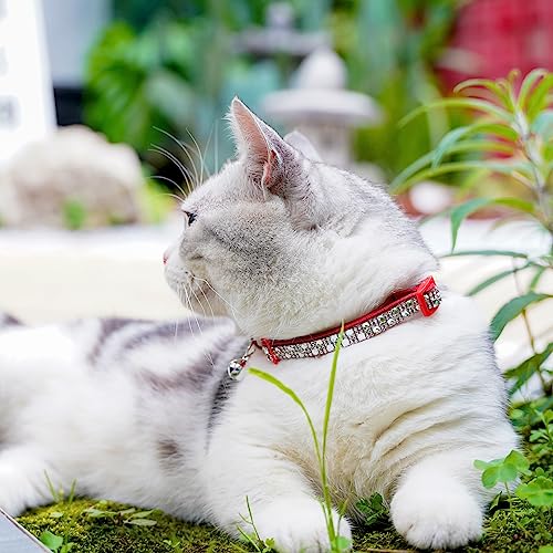 DAIHAQIKO Collare per gatti a strappo Collari per