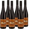 WEINGUT MEES | Rotwein trocken “NOIR DE NOIR” 2022, Nahe | Cuvee aus SpÃ¤tburgunder & Dunkelfelder | hochwertiger Rot-Wein aus Deutschland im Set | Deutscher QualitÃ¤tswein | Paket (6 x 750 ml)