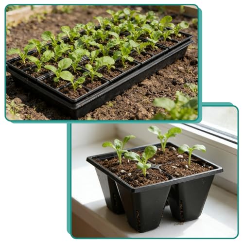 RooTrimmer 40 Pack Reusable 4-Cell Seed Starter Tray for Seedlings, Deep Large Cell Plant Starter Trays with Drainage Holes for Seed Germination, Easy Transplant, Fits Standard 1020 Flats, Black - Image 9