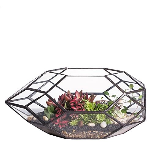 NCYP Large Geometric Glass Terrarium Cover