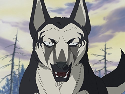 第5話 放たれた決意