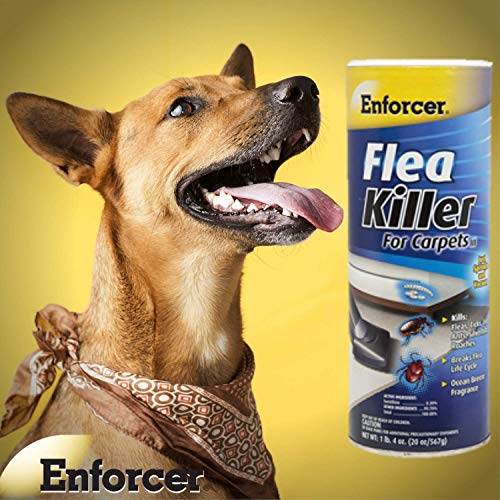 Enforcer Flea Killer for Carpets - 20 Ounce (Pack of 2) EFKOB203 - Breaks the Flea Life Cycle, Fresh Ocean Scent - Image 4